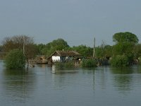 RO, Tulcea, Danube Delta 9, Saxifraga-Dirk Hilbers